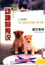 动物的传说  犬猫篇   1999  PDF电子版封面  7810197738  （日）深见东州著；朱卫民，谢咏译 