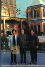 乡村都市  刘志华和她的河南省京华实业公司   1991  PDF电子版封面    黄岩主编 