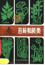 苔藓和蕨类（1981 PDF版）