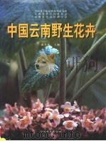 中国云南野生花卉（1999 PDF版）