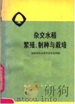 杂交水稻繁殖制种与栽培（1978 PDF版）