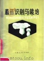 蘑菇识别与栽培（1980 PDF版）