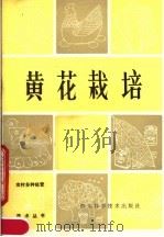 黄花栽培   1983  PDF电子版封面  16298·13  张永杰，周典吉编著 
