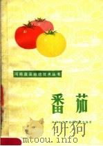 番茄   1976  PDF电子版封面  16105·22  许昌农学院蔬菜教研室编著 