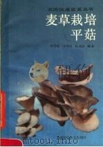 麦草栽培平菇   1989  PDF电子版封面  7536905815  钟雪美，刘绍友，杜双田编著 
