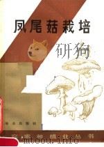 凤尾菇栽培   1984  PDF电子版封面  16144·2845  王松良编 