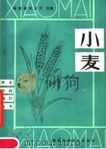 小麦   1981  PDF电子版封面  16211·32  福建省农业厅主编 