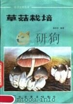草菇栽培   1982  PDF电子版封面  13051·1299  秦世学编著 