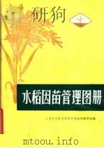 水稻因苗管理图册（1981 PDF版）