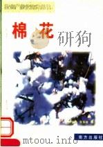 棉花   1999  PDF电子版封面  7806097821  沈文祥，朱良枝编 