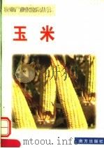 玉米   1999  PDF电子版封面  7806097821  彭东红编 