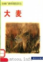 大麦   1999  PDF电子版封面  7806097821  刘少君编 