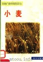 小麦   1999  PDF电子版封面  7806097821  宾秋实，傅爱军，李海波编 