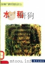 农业产业化致富丛书  水稻（1998 PDF版）