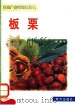 板栗   1999  PDF电子版封面  7806097821  杨莺编 