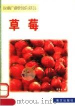草莓   1999  PDF电子版封面  7806097813  龚景文编 