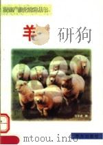 羊   1999  PDF电子版封面  7806097570  邓学建，莫小阳编 