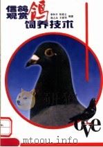 信鸽  观赏鸽饲养技术（1999 PDF版）