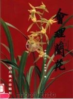 会理兰花   1999  PDF电子版封面  7541015717  刘世渡著 