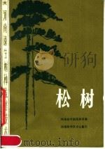 松树   1984  PDF电子版封面  16245·92  河南农学院园林系编 