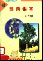 陕西银杏（1998 PDF版）