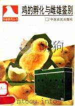 鸡的孵化与雌雄鉴别   1993  PDF电子版封面  7805385785  朱士仁主编 