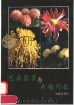 艺菊鉴赏与栽培问答   1994  PDF电子版封面  7800172422  高全荣著 