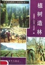 植树造林   1983  PDF电子版封面  17185·1  关福临，李金田，许鸿祥编 