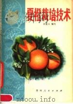夏橙栽培技术   1979  PDF电子版封面  16115·286  许猛义编写 