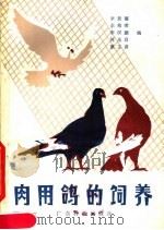 肉用鸽的饲养   1980  PDF电子版封面  16182·23  辛景禧，余柏荣，李汉鹏等编著 