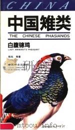 中国雉类 白腹锦鸡 Lady amherst's pheasant   1992  PDF电子版封面  7503808128  杨岚等著 