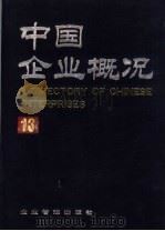 中国企业概况  13   1993  PDF电子版封面  7800011976  中国企业概况编辑委员会，中国企业概况编辑部编 