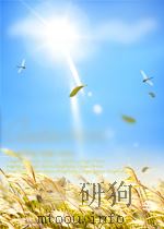 中华中青年国画名家集萃     PDF电子版封面     