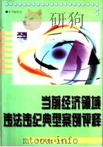 当前经济领域违法违纪典型案例评释（1996 PDF版）