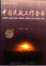 中国民政工作全书  中（1999 PDF版）