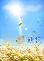 新版《毛泽东选集大辞典 P1430     PDF电子版封面     