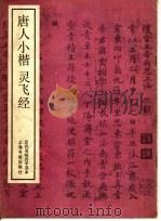 唐人小楷灵飞经     PDF电子版封面  8172·1910   