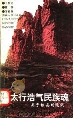 太行浩气民族魂  关于林县的通讯   1993  PDF电子版封面  7215025691  王怀让等著 