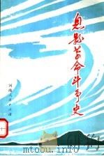 息县革命斗争史   1991  PDF电子版封面  7215017109  中共河南省息县县委党史工作委员会编 