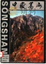 中岳嵩山（ PDF版）