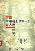 河南省东秦岭北坡中-上元古界   1988  PDF电子版封面  7534900093  关保德等著 