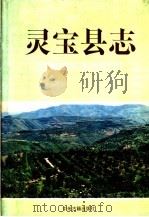 灵宝县志（1992 PDF版）
