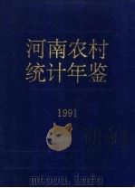 河南农村统计年鉴  1991（1991 PDF版）
