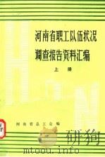 河南省职工队伍状况调查报告资料汇编  上     PDF电子版封面    河南省总工会编 