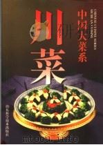 中国大菜系  川菜  图集（1997 PDF版）