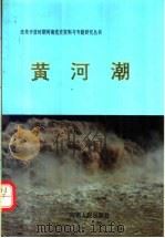 黄河潮   1994  PDF电子版封面  7215027651  黄国平主编 
