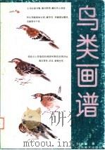 鸟类画谱（1993 PDF版）