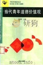 当代青年道德价值观   1999  PDF电子版封面  7543616173  刘忠世主编 