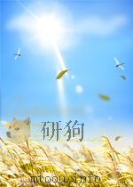 蒋经国江西传奇     PDF电子版封面     