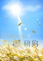 漳州水仙花（ PDF版）